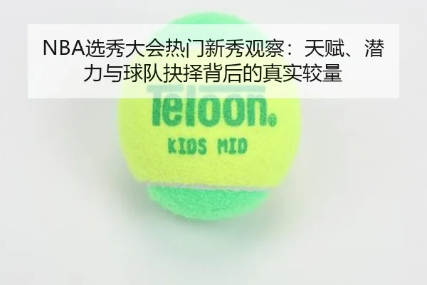 img_1780065111599_67_2_692.jpg